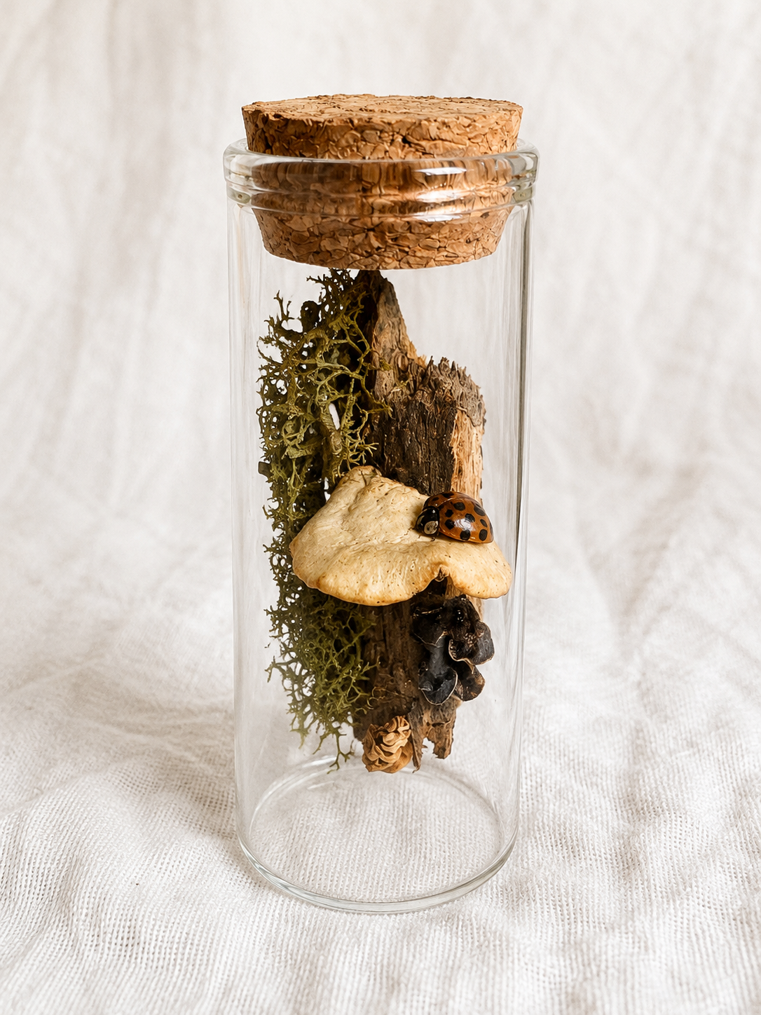 Handmade miniature woodland scene inside glass vial with natural bark and dried fungi