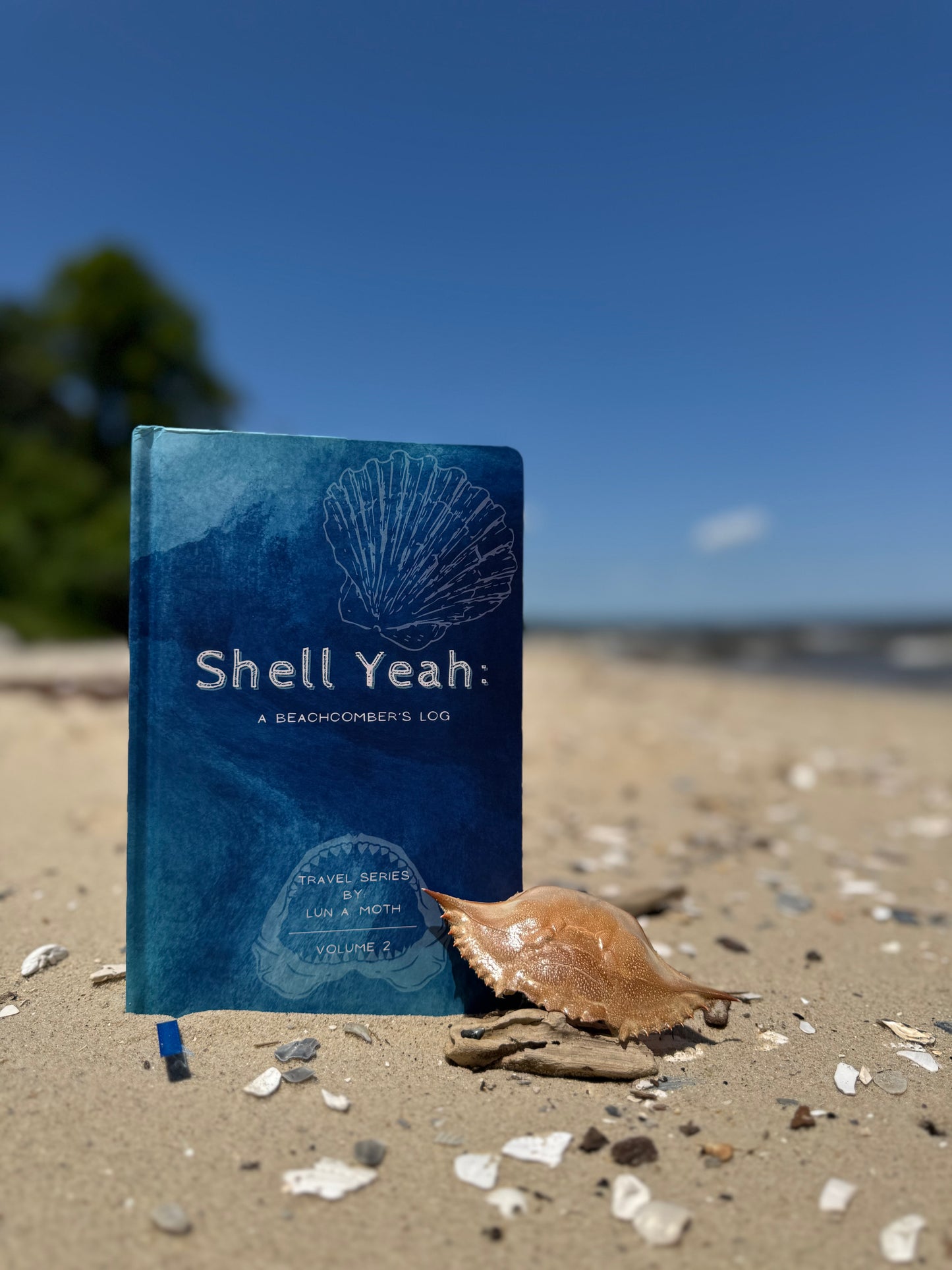✨Pre Order✨ Shell Yeah: A Guided Beachcombing Journal | Beachcomber’s Log Book