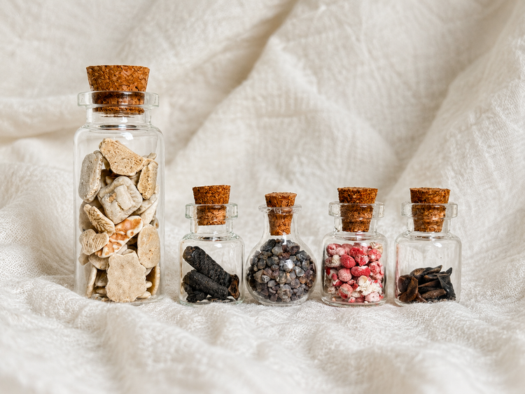 Curiosity Collections