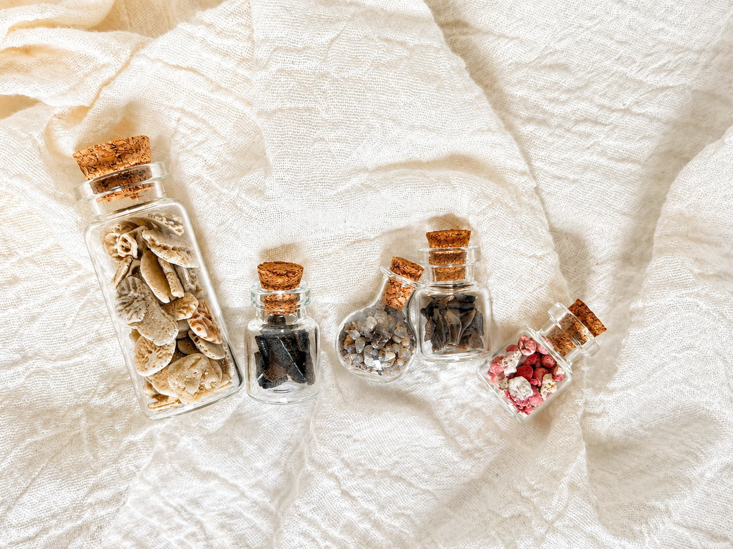 Ocean Collection I: Pink Sands Edition
