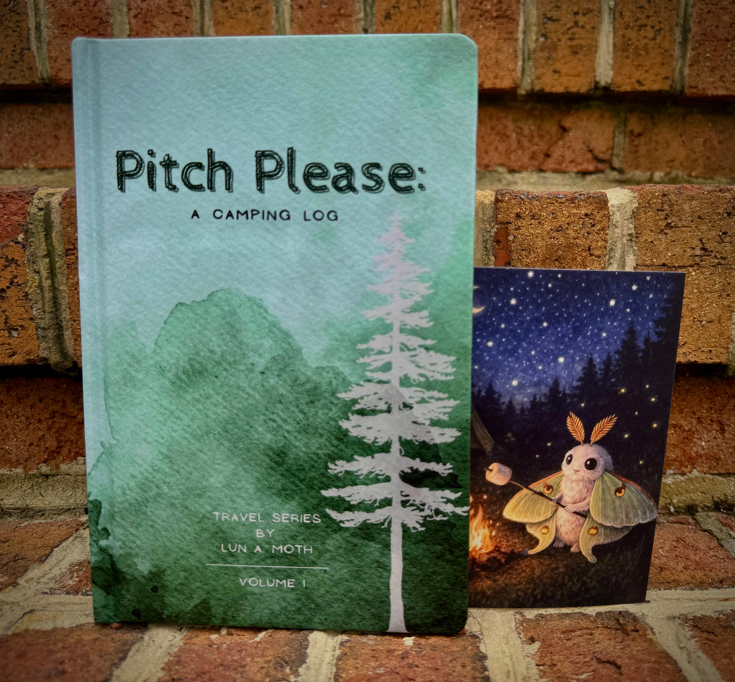 ✨Pre Order Now✨ Pitch Please: A Camping Log Book