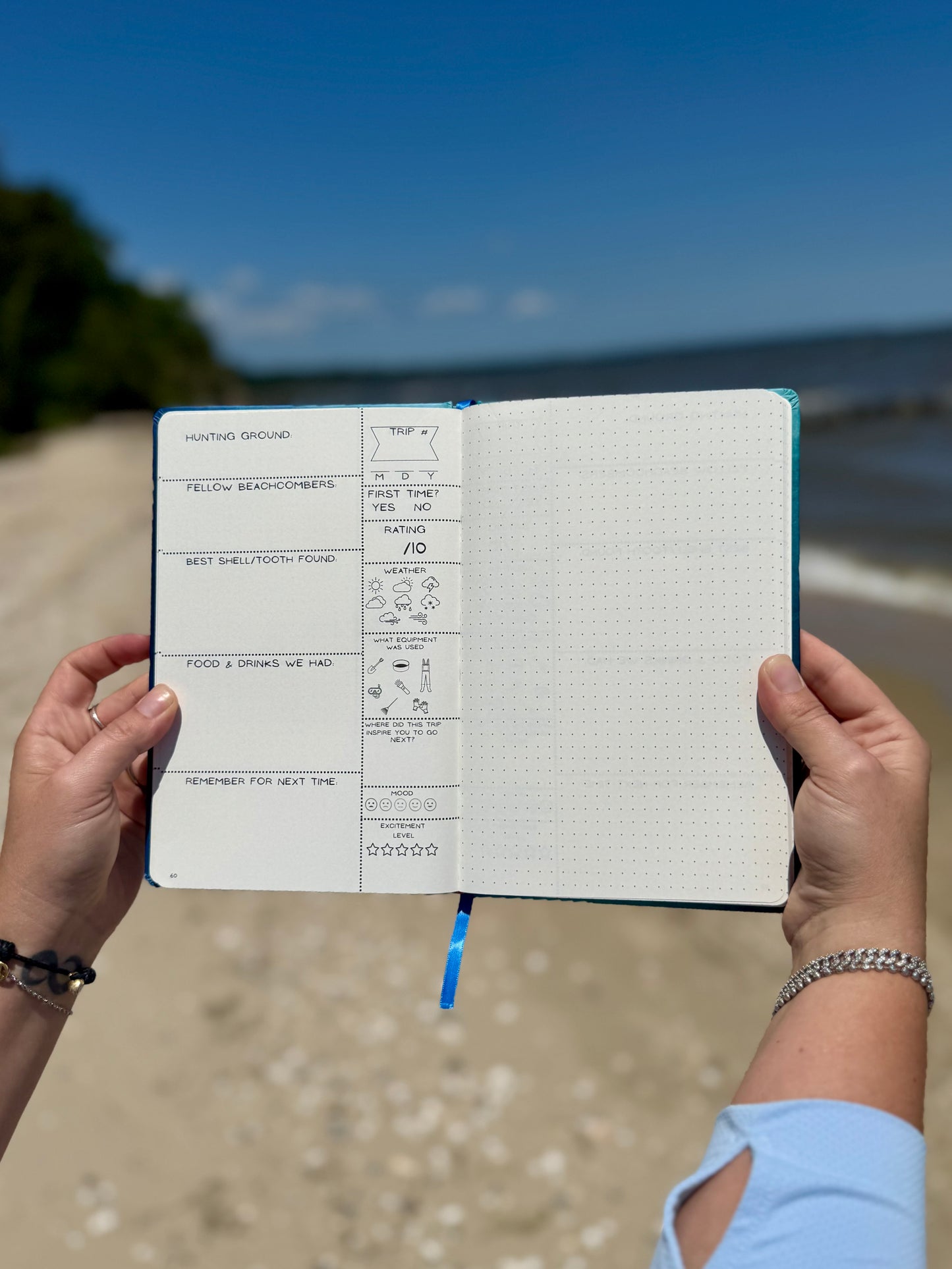 ✨Pre Order✨ Shell Yeah: A Guided Beachcombing Journal | Beachcomber’s Log Book