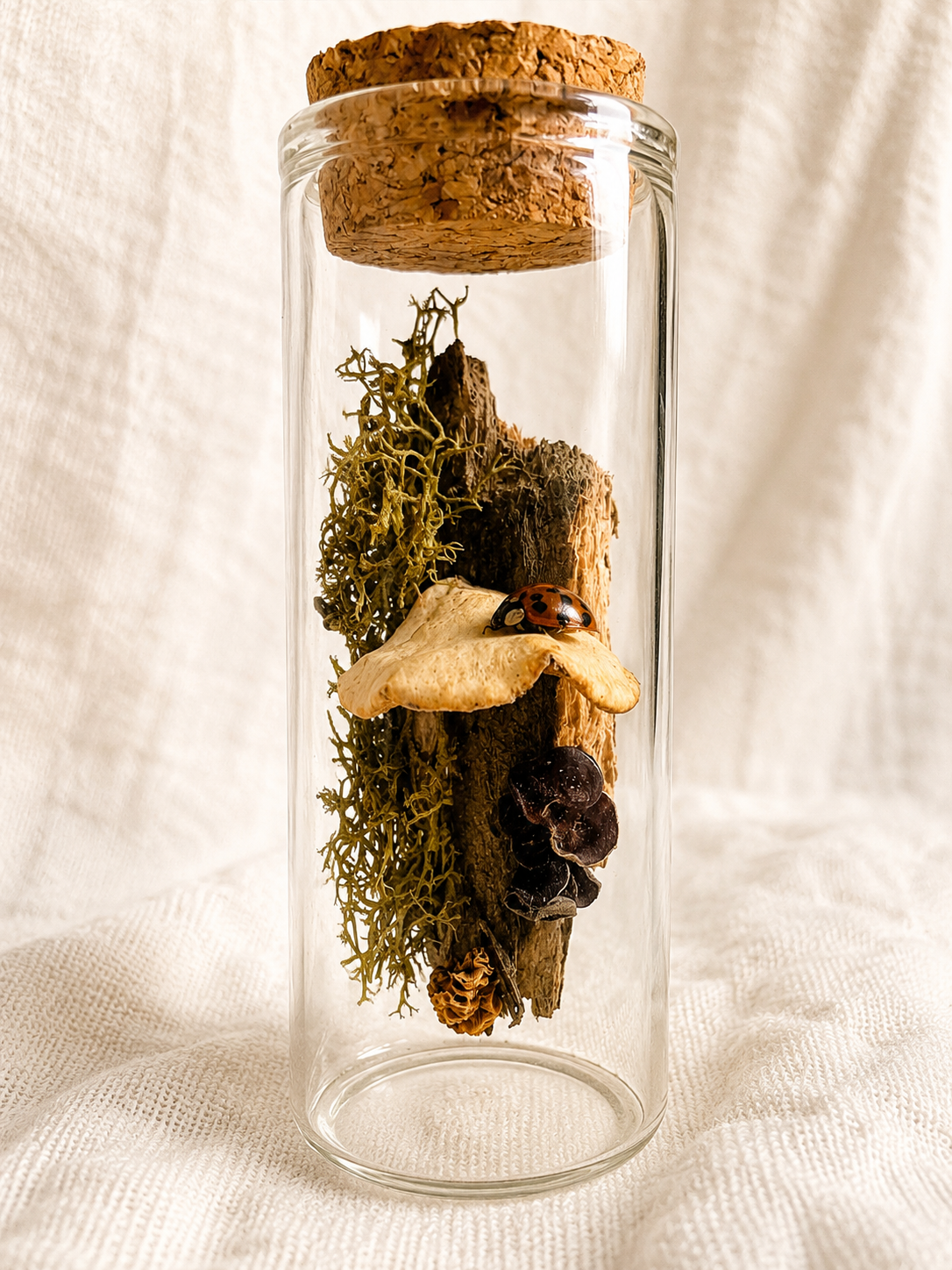 Don't Bug Me tiny woodland world in a glass vial with moss, bark, fungi and ladybug