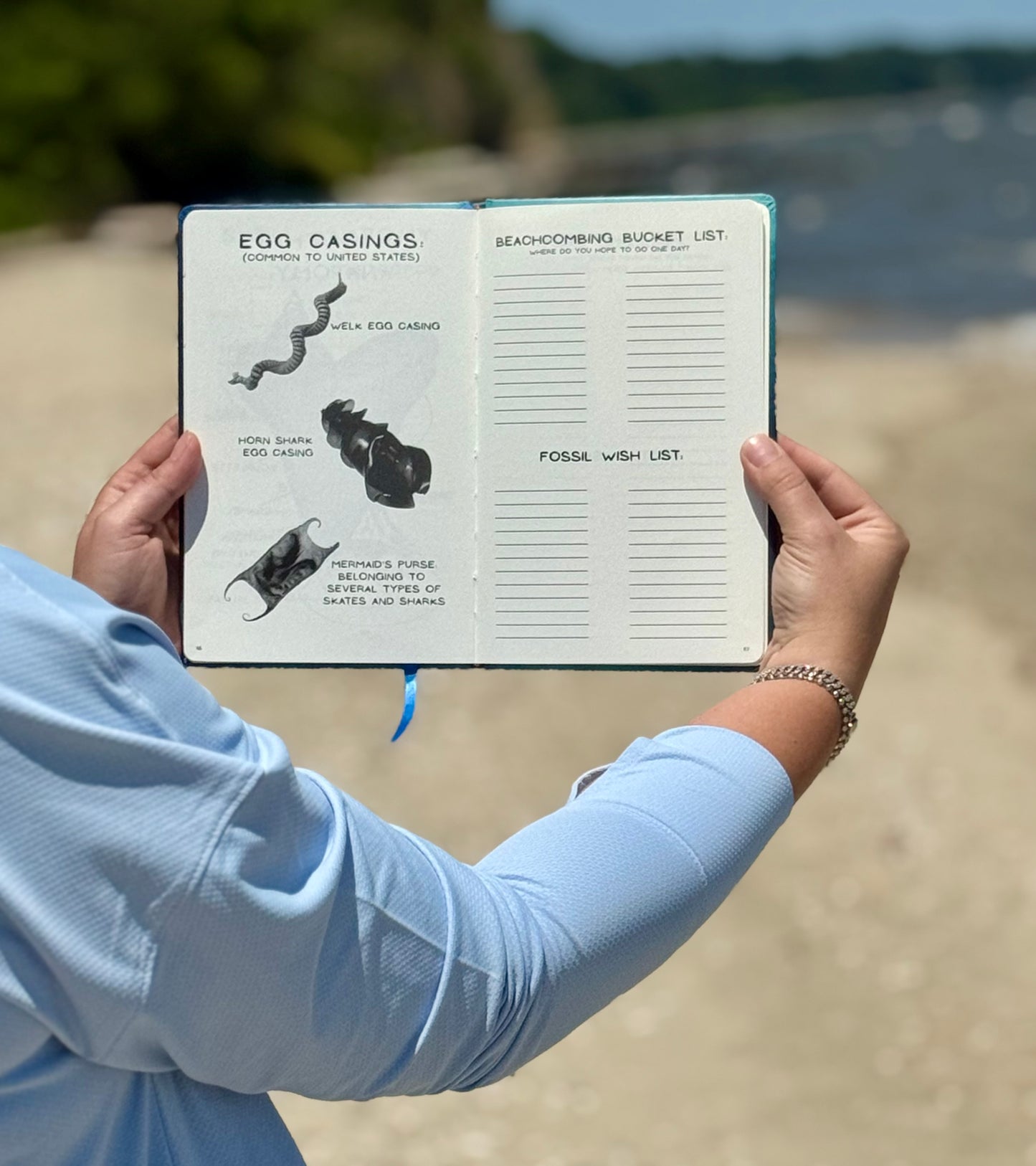 ✨Pre Order✨ Shell Yeah: A Guided Beachcombing Journal | Beachcomber’s Log Book